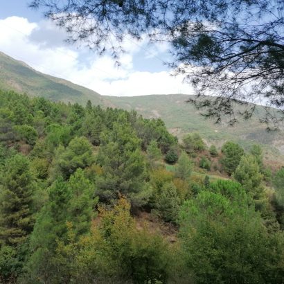 trasferire la pensione in albania